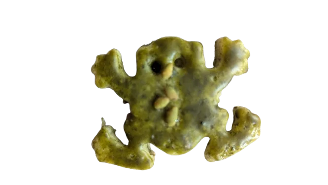 Biscuit grenouille